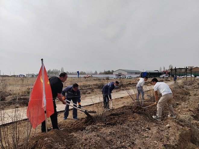 額鹽公司組織開展“凝心聚力促發展，實干擔當建新功”植樹活動